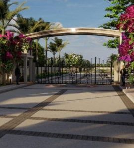 RAK Falacity