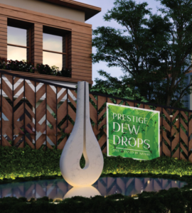 prestige dew drops