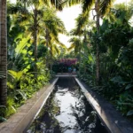 gallery-2